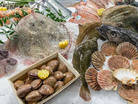 Bureaux et commerces Perros-Guirec 22