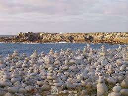 Bureaux et commerces 5 pièces