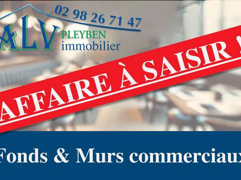 Bureaux et commerces 13 pièces Pleyben 29