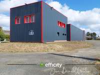Bureaux et commerces 9 pièces