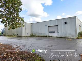 Bureaux et commerces 6 pièces