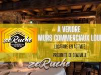 Bureaux et commerces Pont-l'Évêque - 14