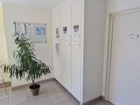Bureaux et commerces 1 pièce