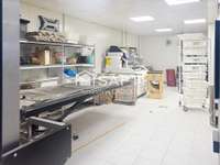 Bureaux et commerces 12 pièces