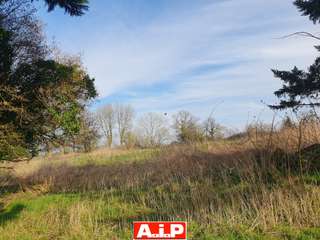 Bureaux et commerces 5 pièces