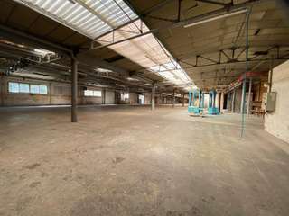 Bureaux et commerces 12 pièces