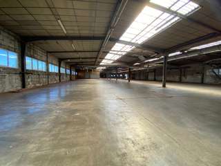 Bureaux et commerces 12 pièces