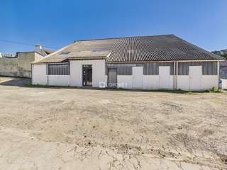 Bureaux et commerces 6 pièces