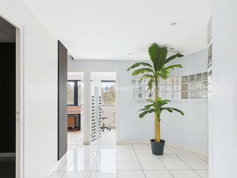 Bureaux et commerces Quimper 29