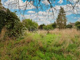Bureaux et commerces 13 pièces