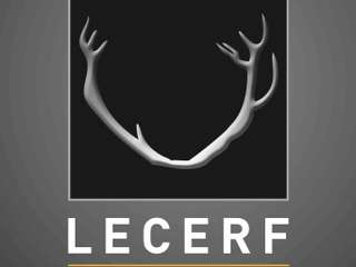 Bureaux et commerces 4 pièces