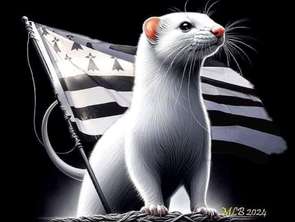 Vente Bureaux et commerces 70 m&sup2;Rennes Bourg L'evêque