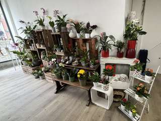 Bureaux et commerces