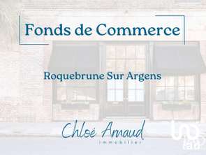 Vente Bureaux et commerces 322 m&sup2;Roquebrune-sur-Argens