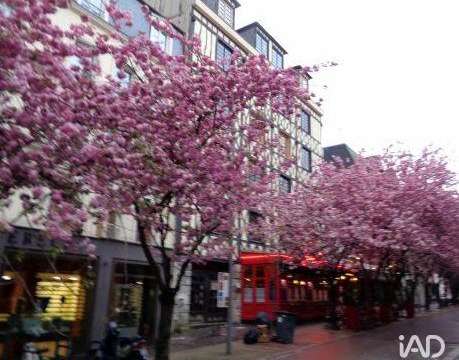 Bureaux et commerces