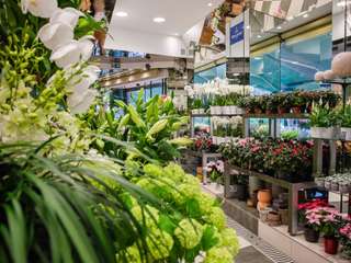 Bureaux et commerces 3 pièces