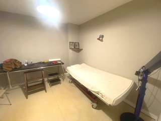 Bureaux et commerces 7 pièces