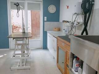 Bureaux et commerces