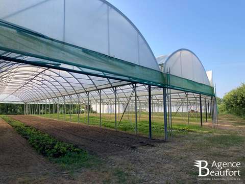 Bureaux et commerces Saint-Hilaire-de-Riez 85