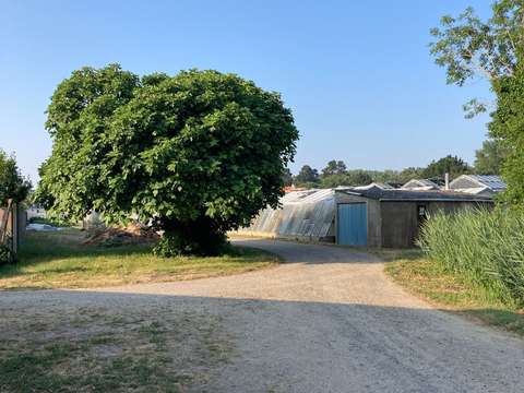 Bureaux et commerces