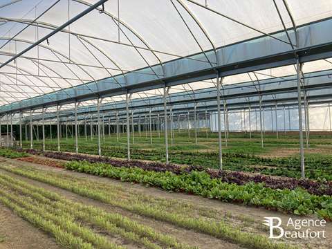 Bureaux et commerces