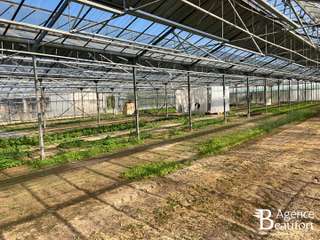 Bureaux et commerces