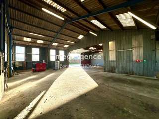 Bureaux et commerces 6 pièces