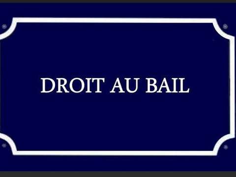 Bureaux et commerces Saint-Malo 35