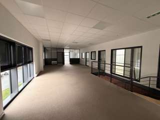 Bureaux et commerces 8 pièces