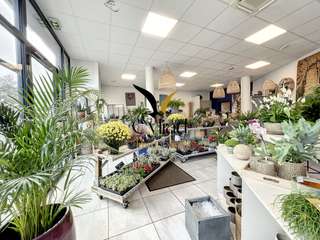 Bureaux et commerces