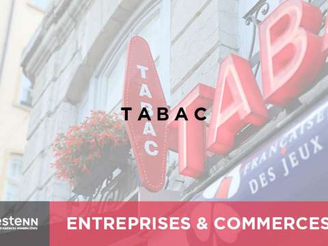 Bureaux et commerces Saint-Méen-le-Grand 35