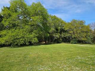 Bureaux et commerces 20 pièces