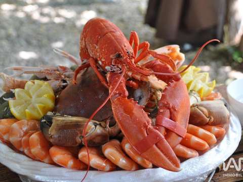 Bureaux et commerces Saint-Pierre-d'Oléron 17