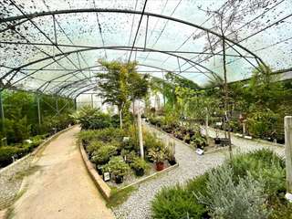 Bureaux et commerces 1 pièce