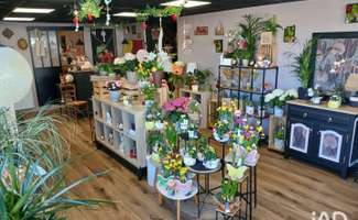 Photo Bureaux et commerces Saint-Sauveur-Lendelin
