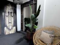 Bureaux et commerces 11 pièces