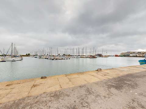 Bureaux et commerces Saint-Vaast-la-Hougue 50