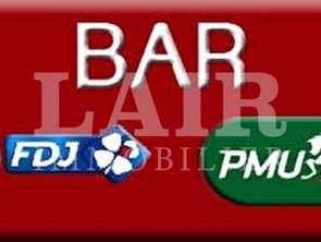 Vente Bureaux et commerces 240 m&sup2;Sillé-le-Guillaume