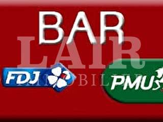 Bureaux et commerces 10 pièces