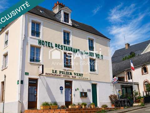 Bureaux et commerces 20 pièces Sillé-le-Guillaume 72