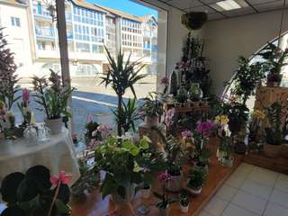 Bureaux et commerces