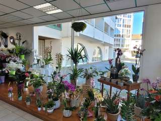 Bureaux et commerces