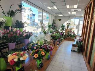 Bureaux et commerces