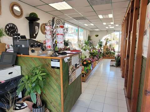 Bureaux et commerces