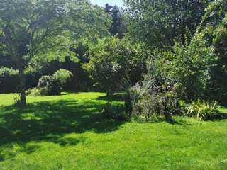 Bureaux et commerces 3 pièces