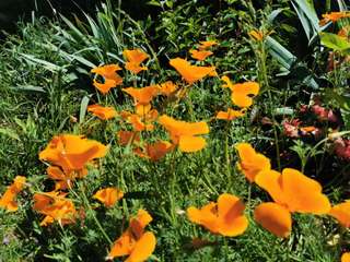 Bureaux et commerces 3 pièces