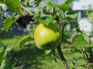 Bureaux et commerces 3 pièces
