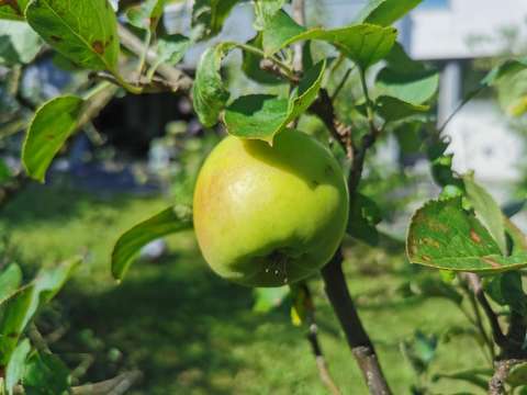 Bureaux et commerces 3 pièces