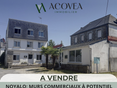 Bureaux et commerces Theix-Noyalo - 56