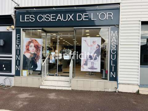 Bureaux et commerces Touques 14